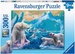 Polar Bear Kingdom 300 pieces