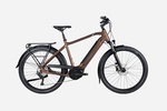 Lapierre E-Explorer 6.5 500Wh Electric Bike In Bronze