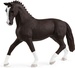 Hannoverian Mare, Black