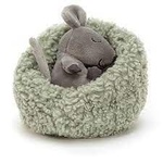 Hibernating Mouse