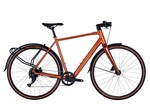 Raleigh Trace Electric Gravel And Commuter Bike In Copper Red