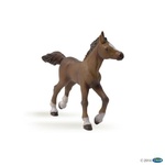 Papo Anglo-Arab Foal