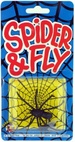 Spider And Fly