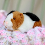 Animigos World Of Nature Guinea Pig